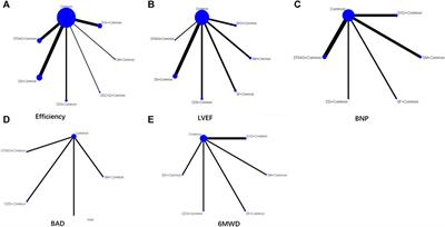 Effectiveness and safety of Danshen injections in treatment of cardiac failure: a network meta-analysis